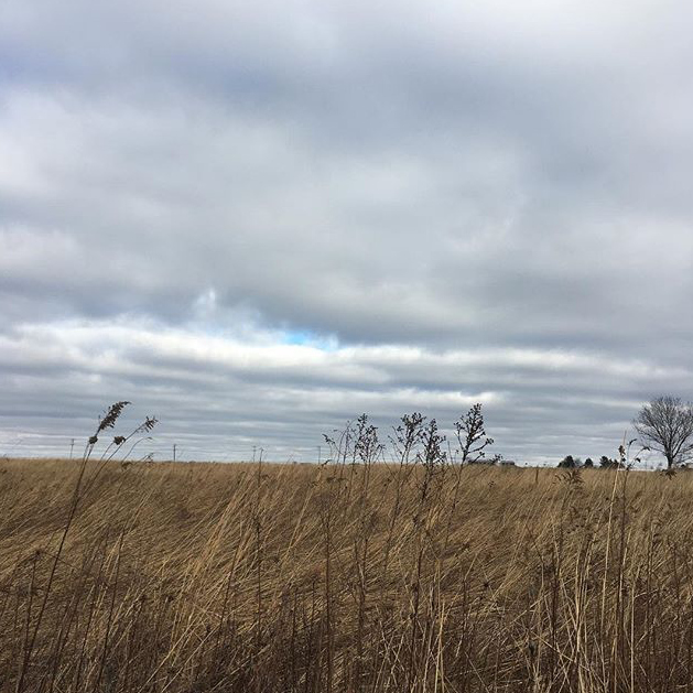 Peck Farm - @mariahelizabethshaw